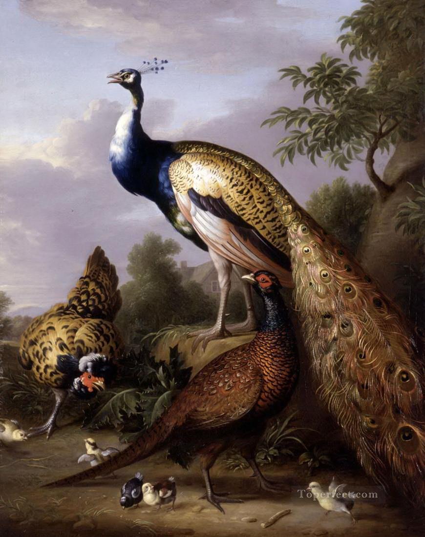 Tobias Stranover Peacock Hen and Cock Pheasant in a Landscape birds Oil Paintings